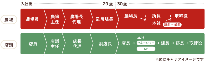 キャリアアップイメージ